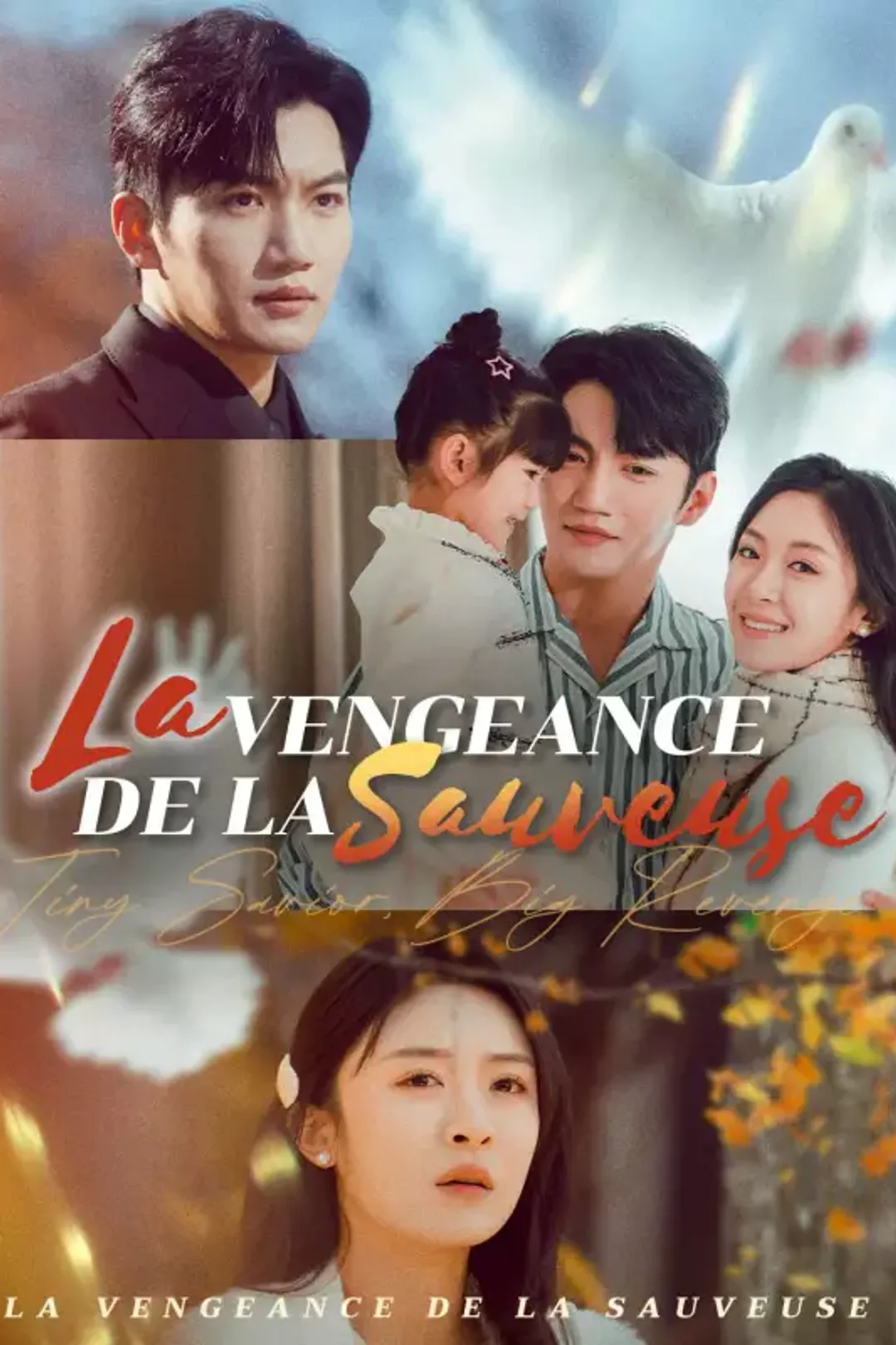 Affiche de La Vengeance de la Sauveuse