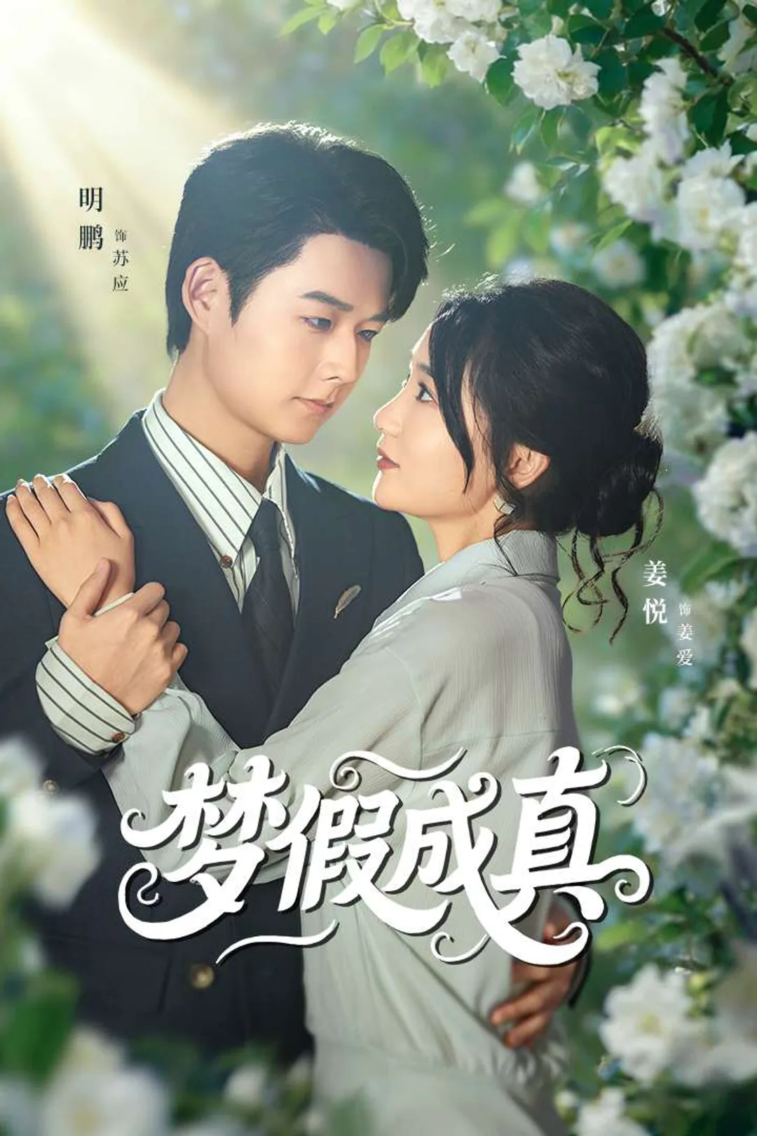 《梦假成真》海报