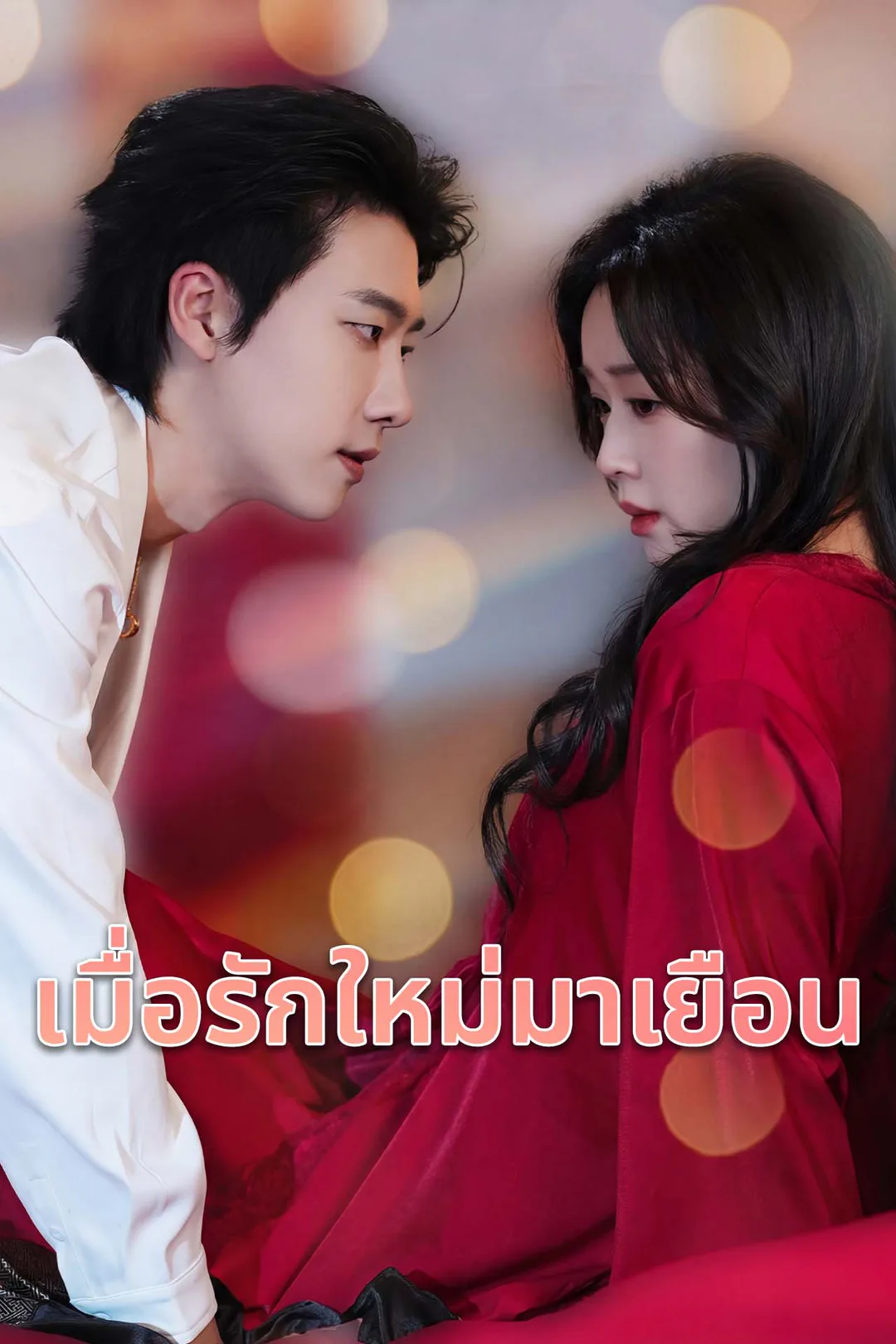 โปสเตอร์ เมื่อรักใหม่มาเยือน