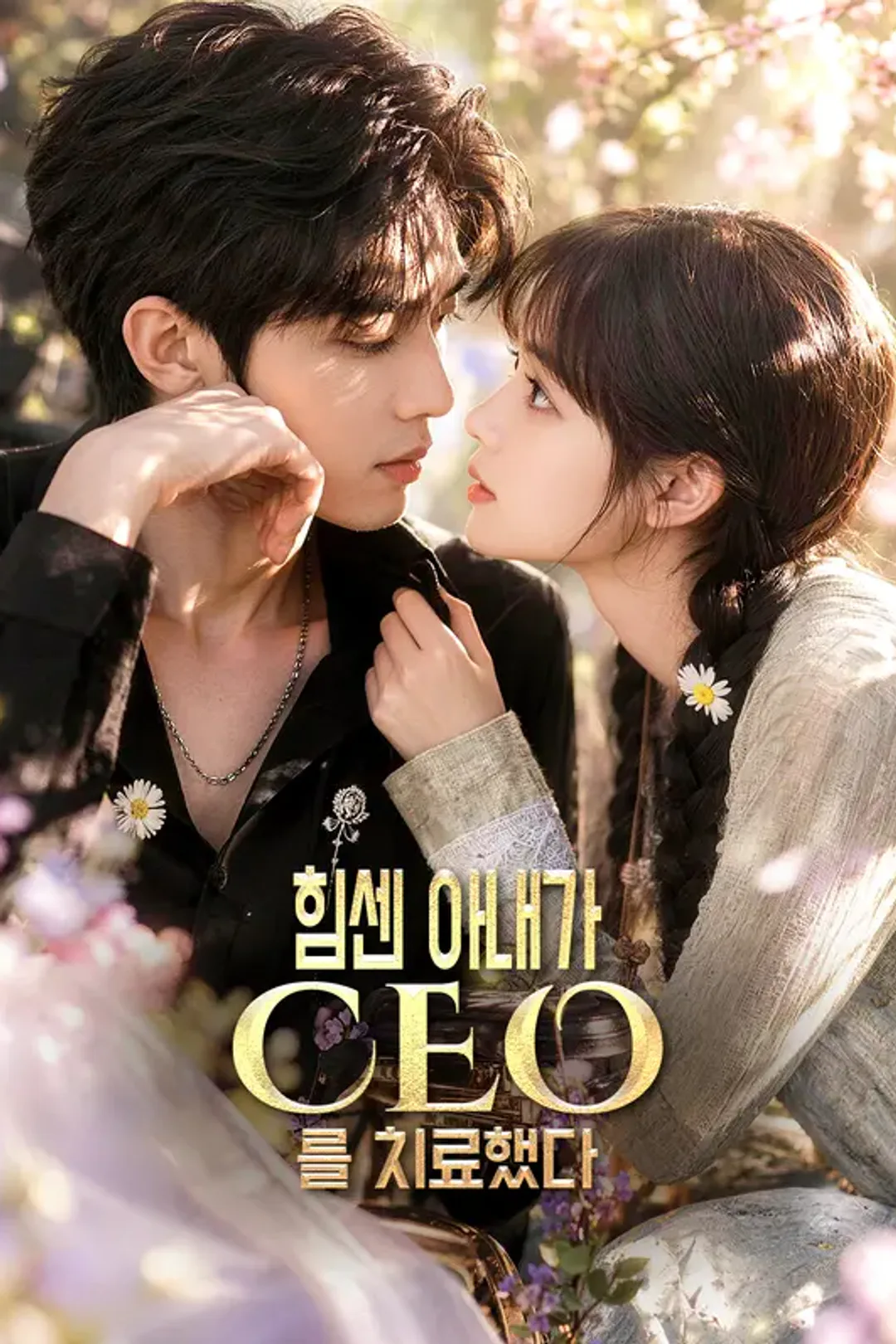 힘센 아내가 CEO를 치료했다 포스터