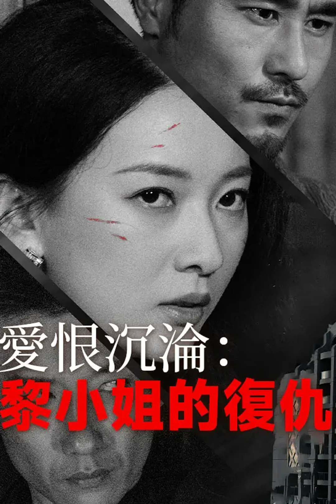 《愛恨沉淪：黎小姐的復仇》海報