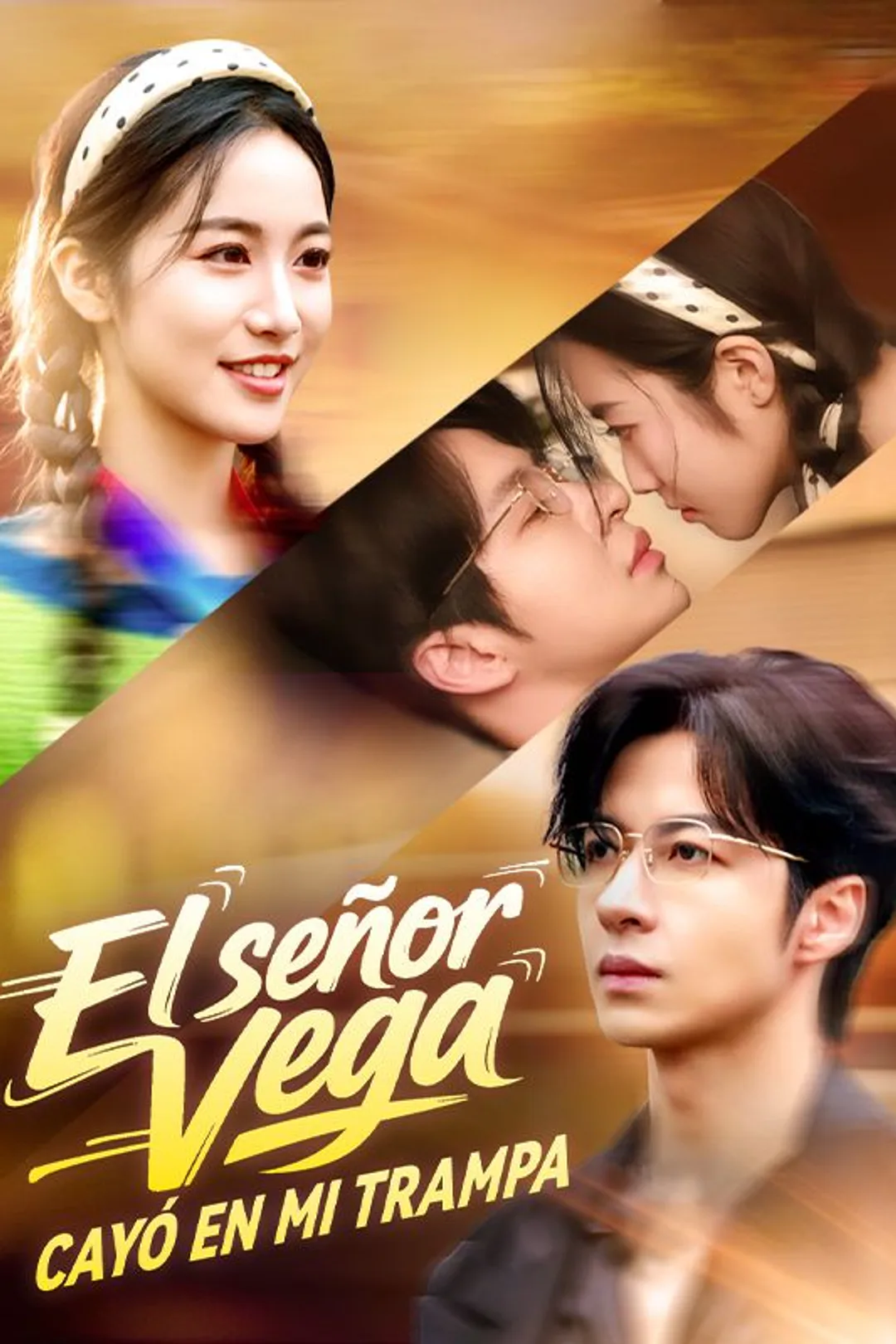 Póster de El señor Vega cayó en mi trampa