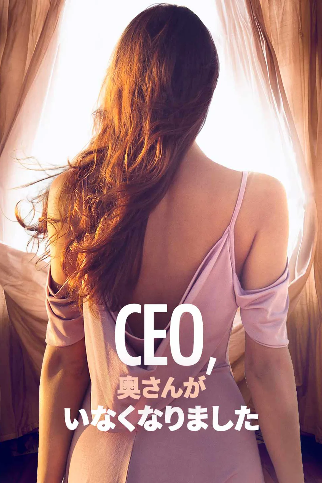 CEO、 奥さんが いなくなりましたのポスター