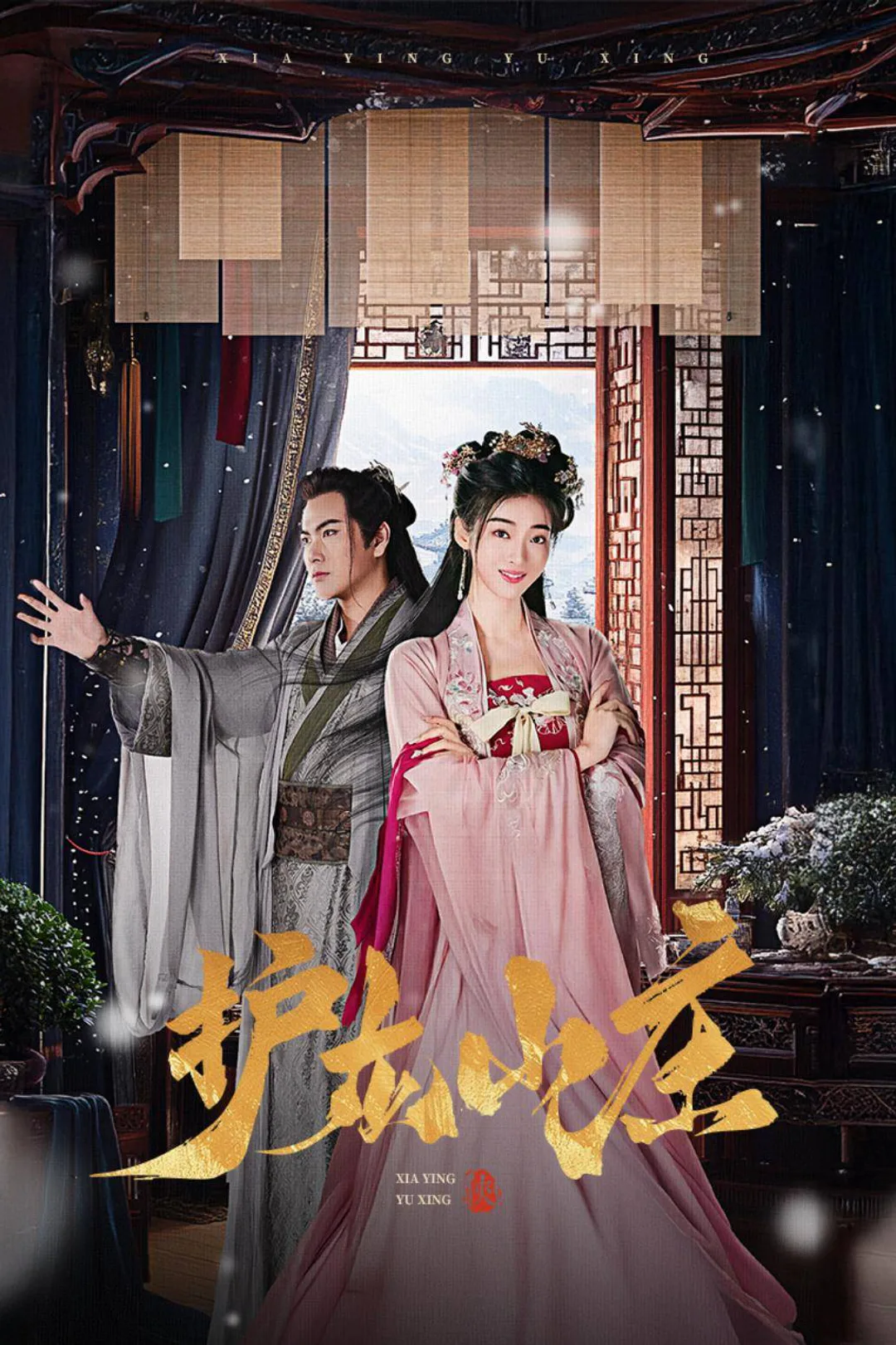 《護龍山莊》海報