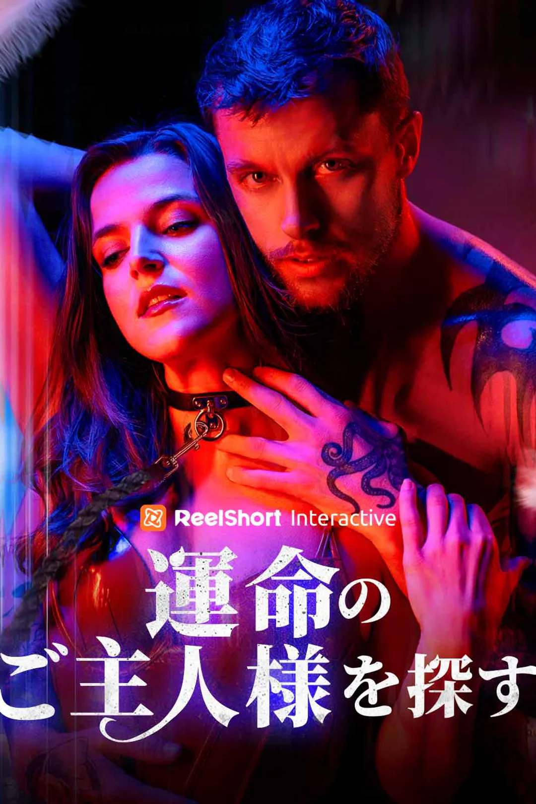 運命のご主人様を探すのポスター