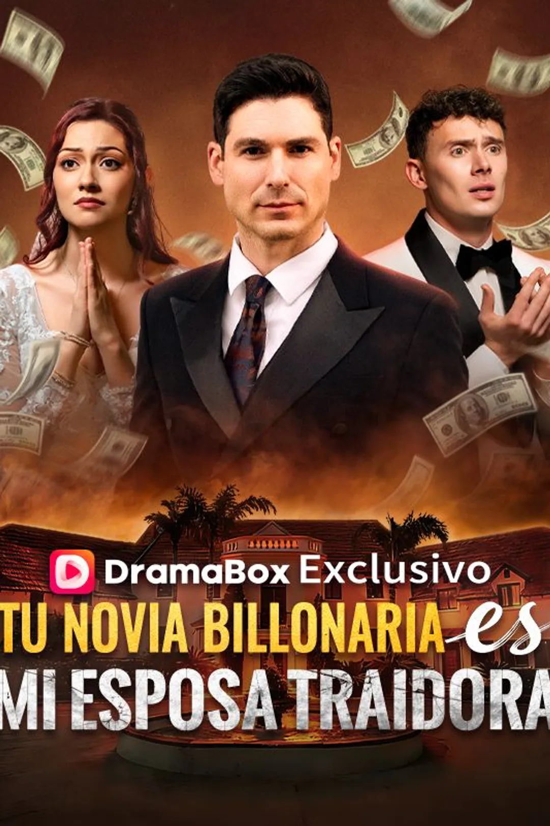 Póster de Tu novia billonaria es mi esposa traidora