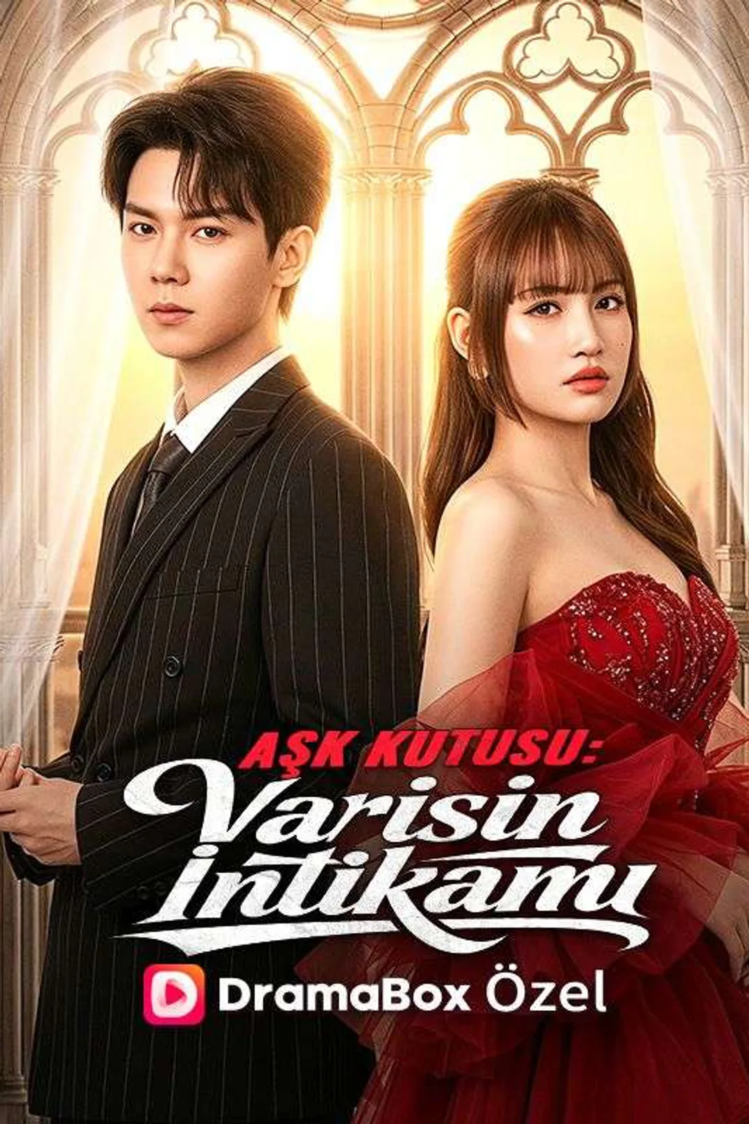 Aşk Kutusu: Varisin İntikamı afişi