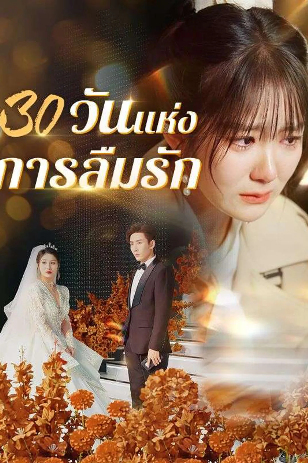 Poster 30 วันแห่งการลืมรัก