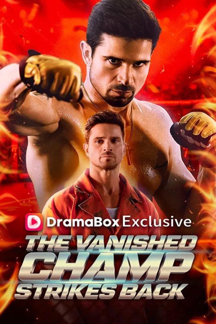 The Vanished Champ Strikes Back poster