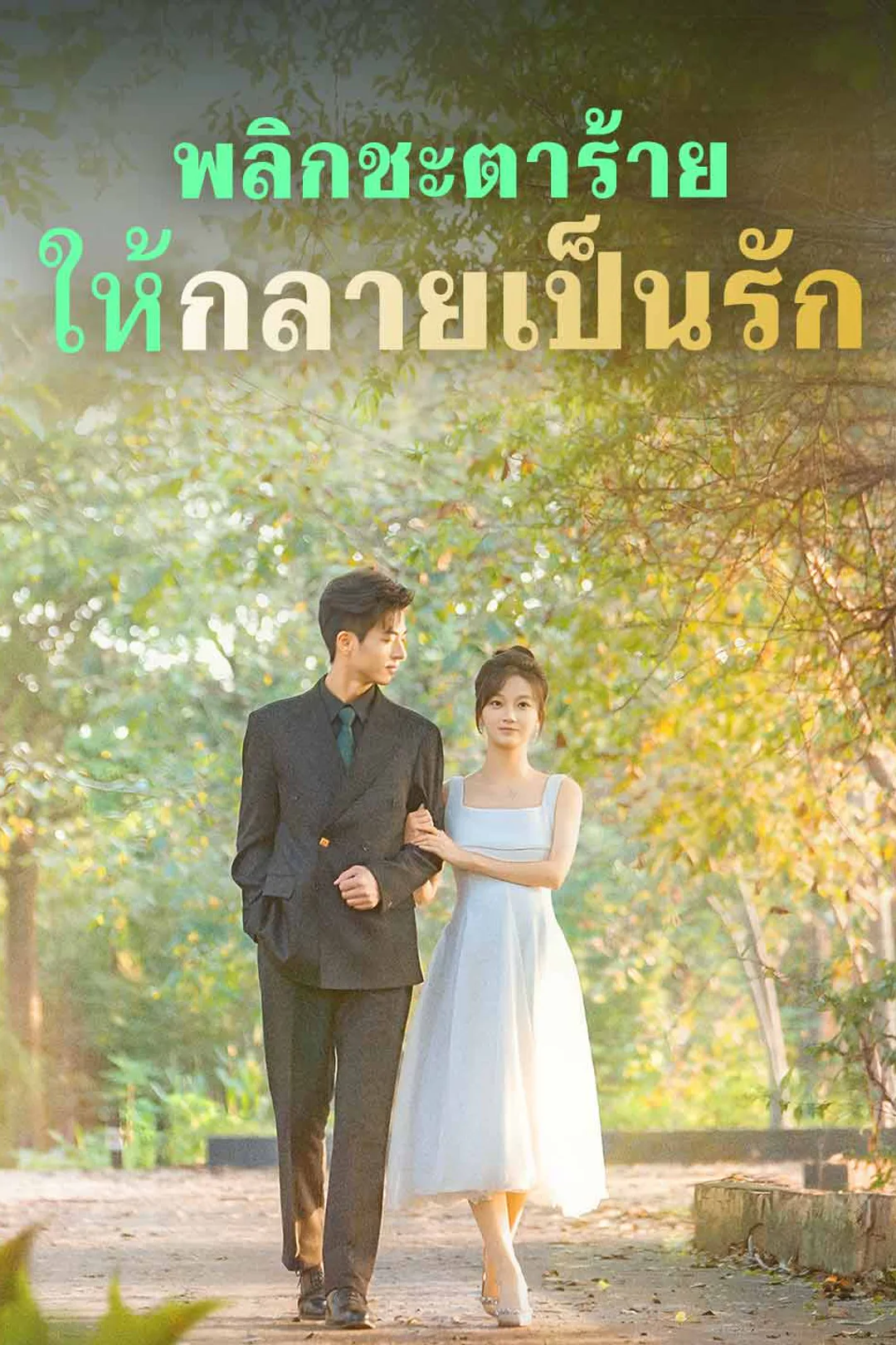 โปสเตอร์ พลิกชะตาร้าย ให้กลายเป็นรัก
