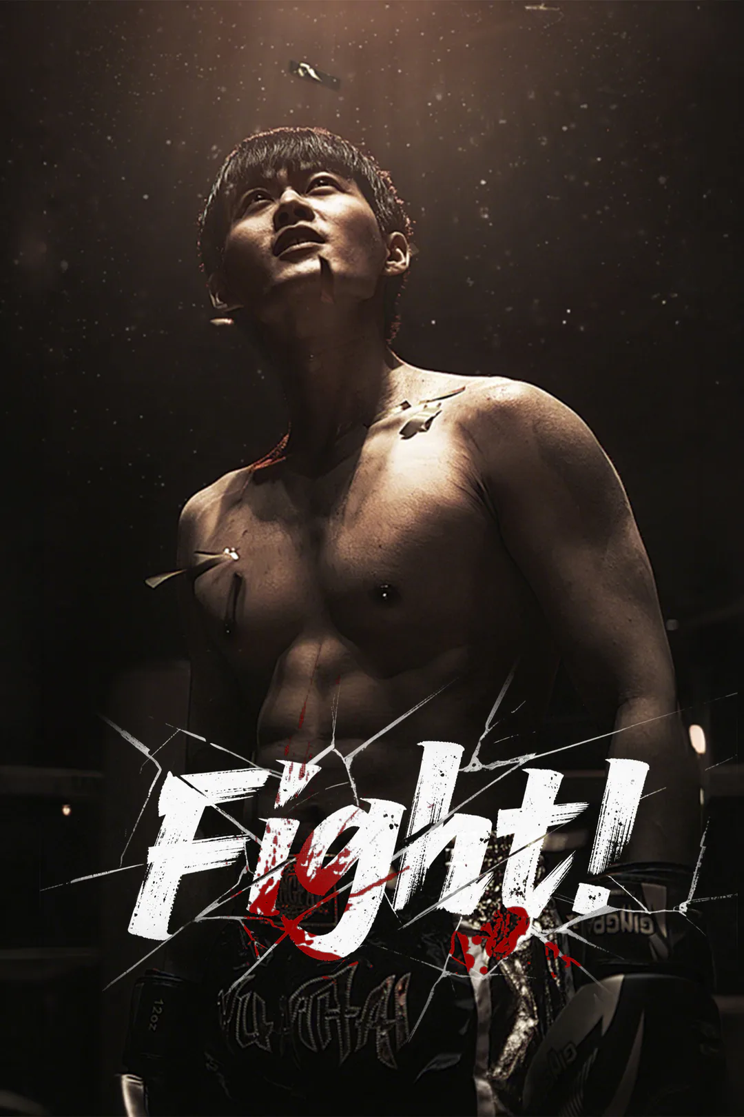 Fight! poster