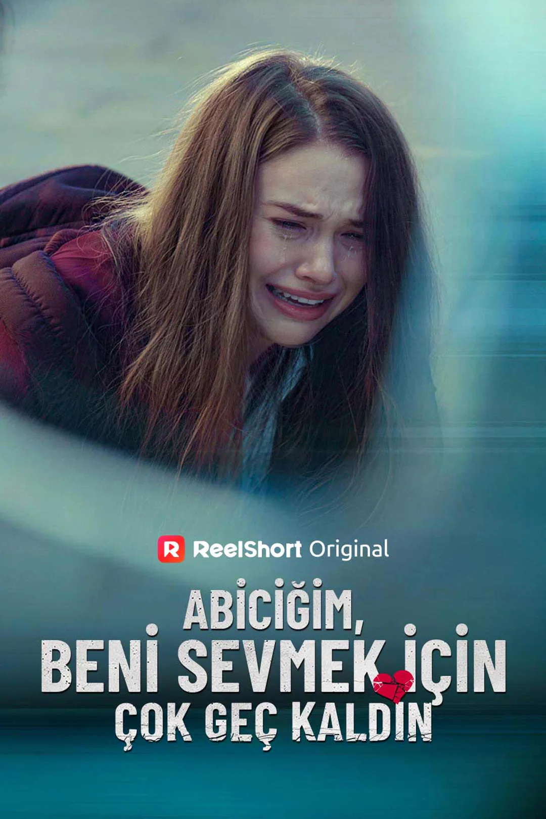 Abiciğim, Beni Sevmek İçin Çok Geç Kaldın afişi