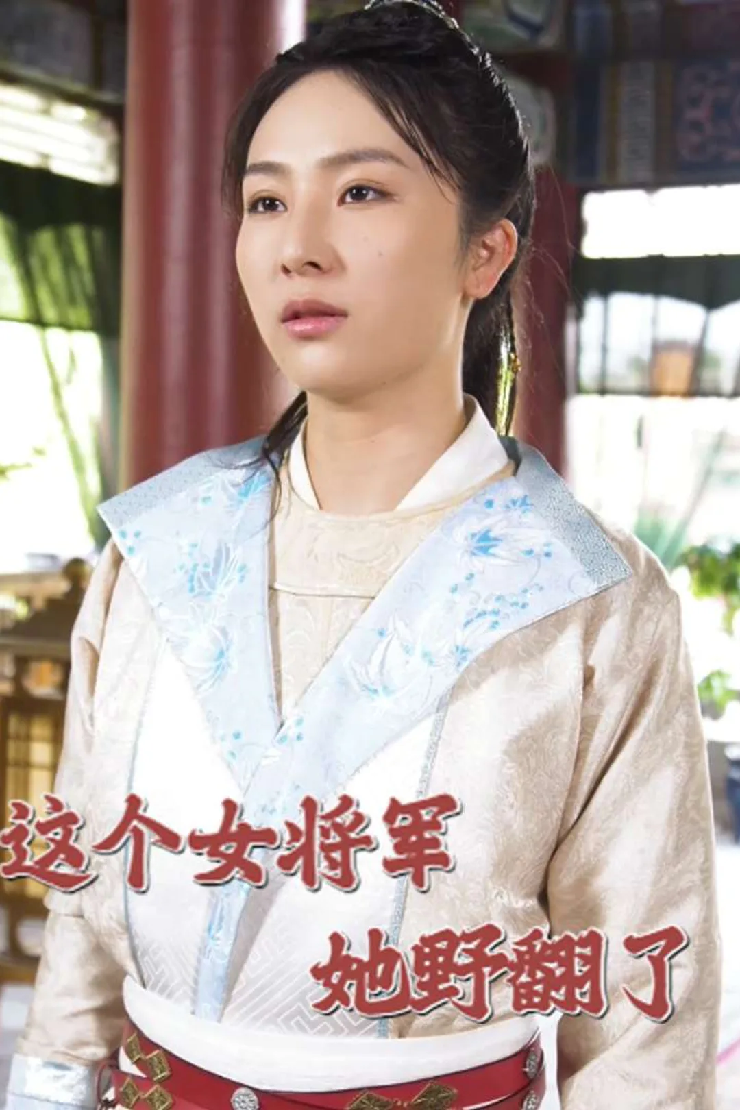 《这个女将军她野翻了》海报