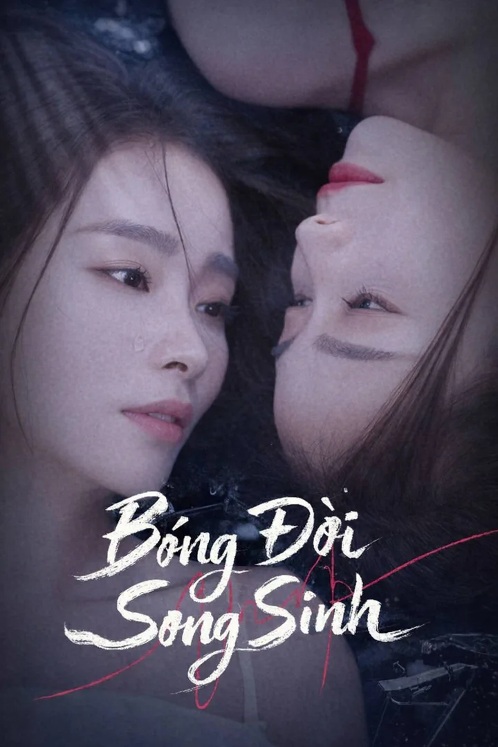 Poster phim Bóng Đời Song Sinh
