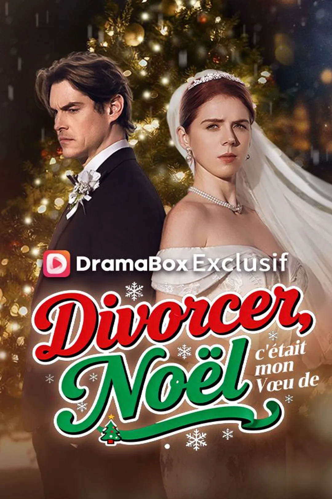 Affiche de Divorcer, c'était mon Vœu de Noël