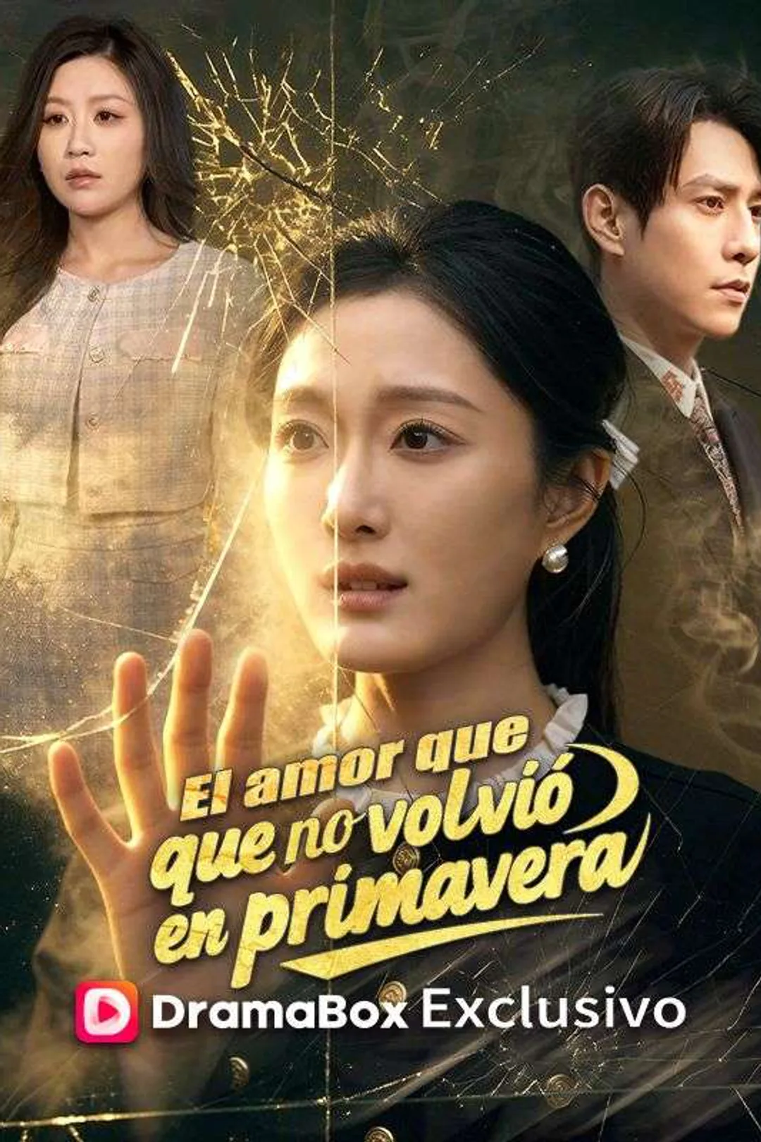 Póster de El amor que no volvió en primavera