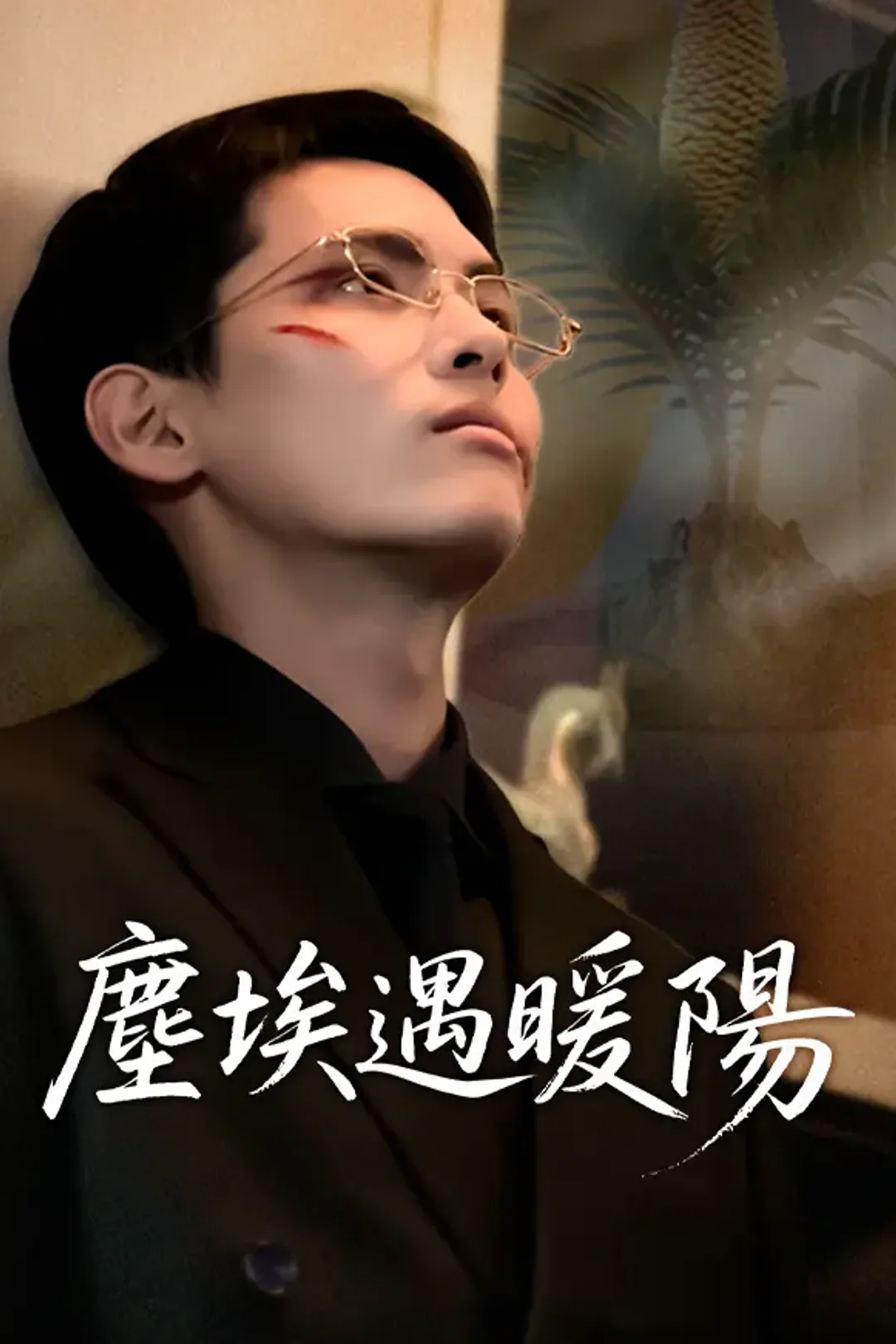 《塵埃遇暖陽》海報