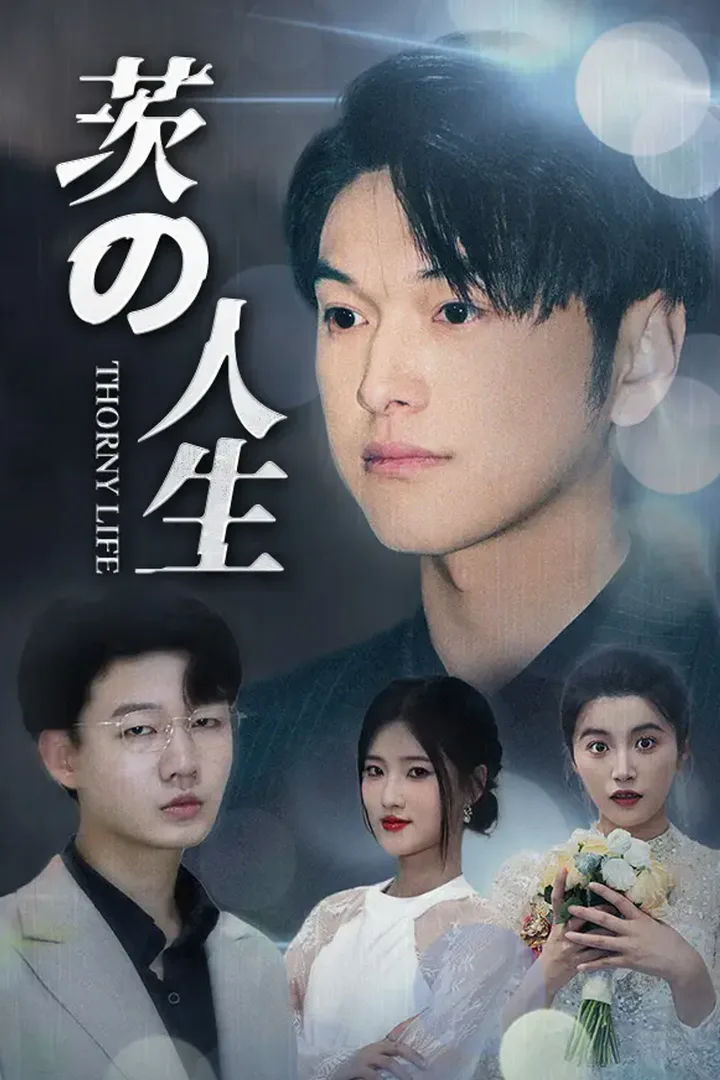 茨の人生のポスター