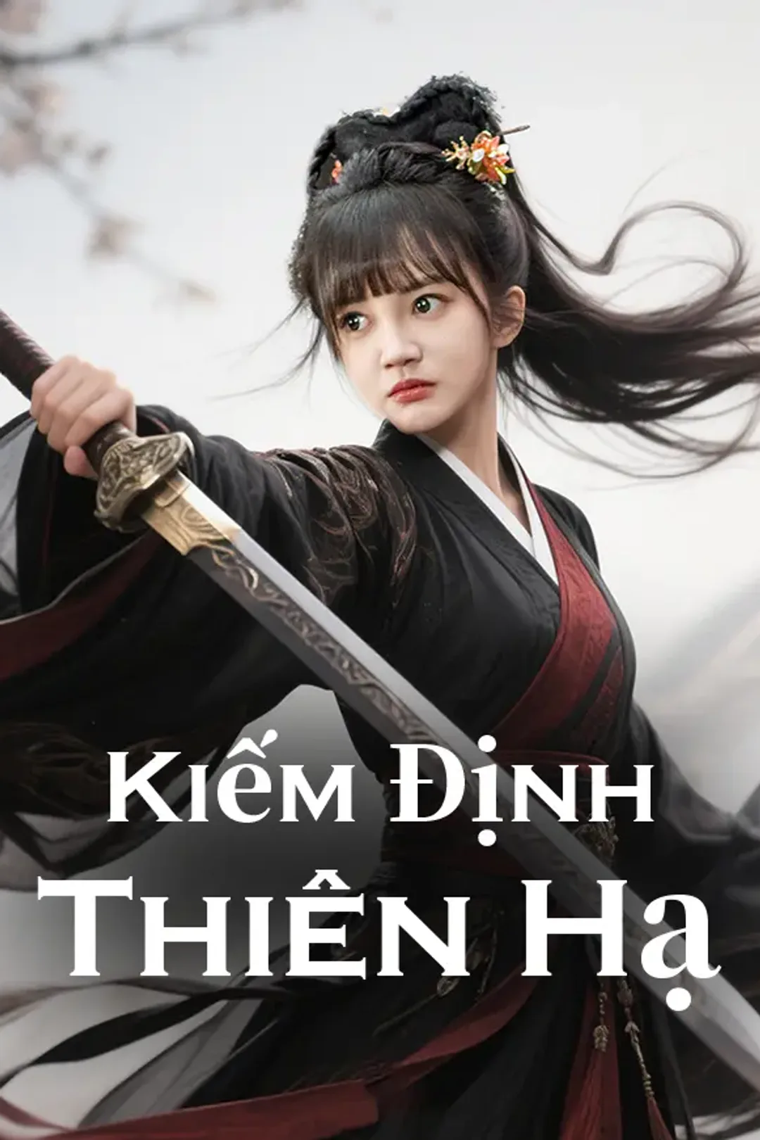 Poster phim Kiếm Định Thiên Hạ