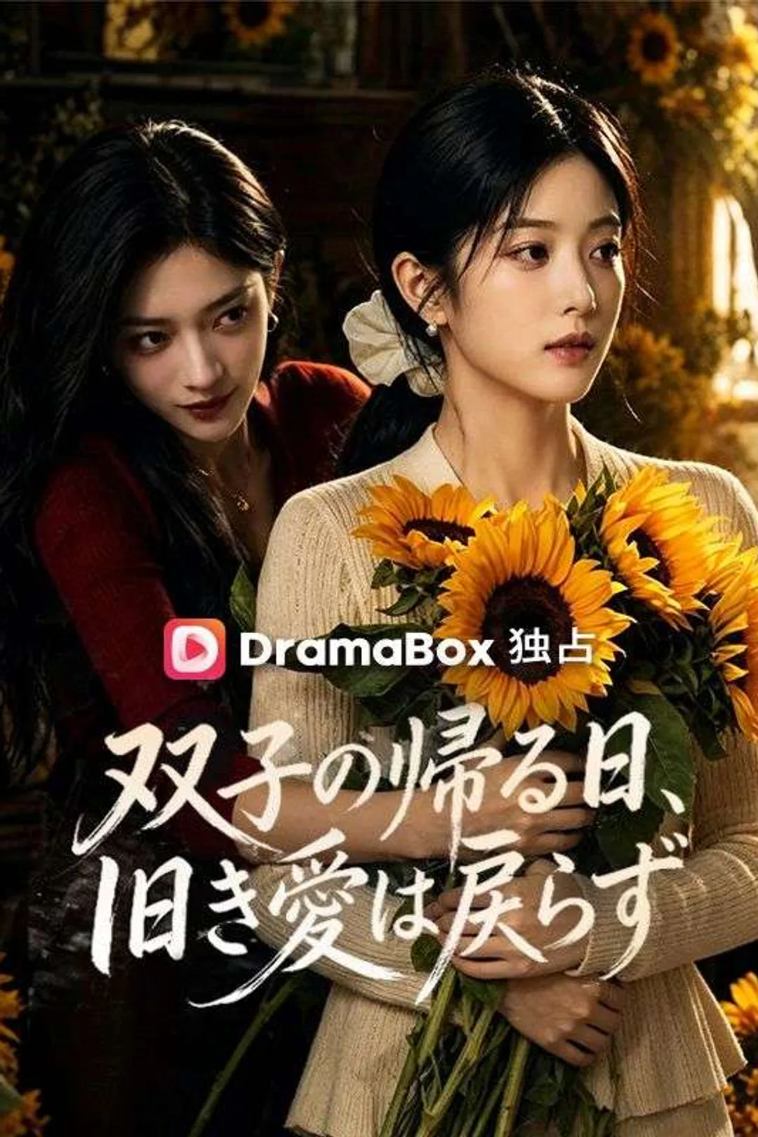 双子の帰る日、旧き愛は戻らずのポスター