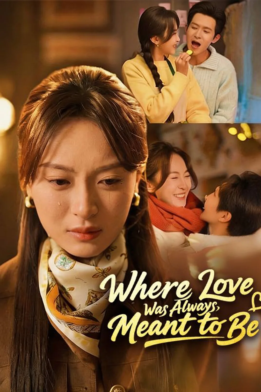 Where Love Was Always Meant to Be poster