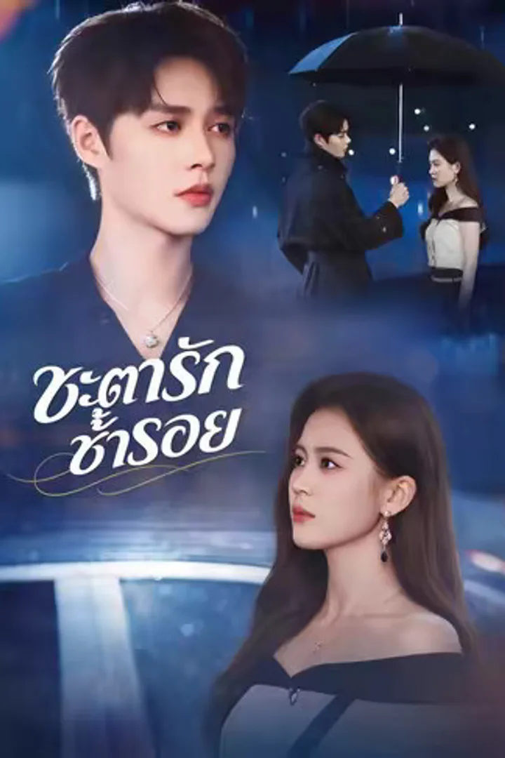 โปสเตอร์ ชะตารักซ้ำรอย