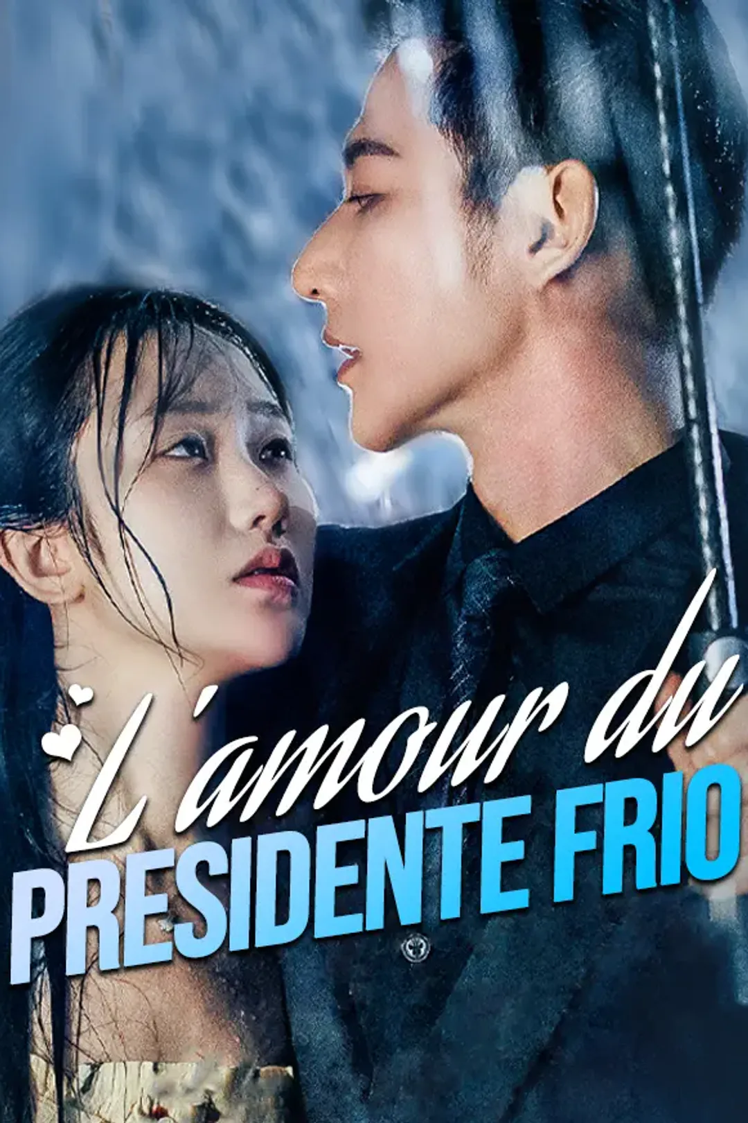 Affiche de L'amour du Président Froid