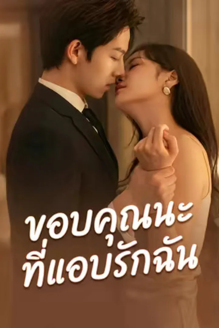 โปสเตอร์ ขอบคุณนะที่แอบรักฉัน