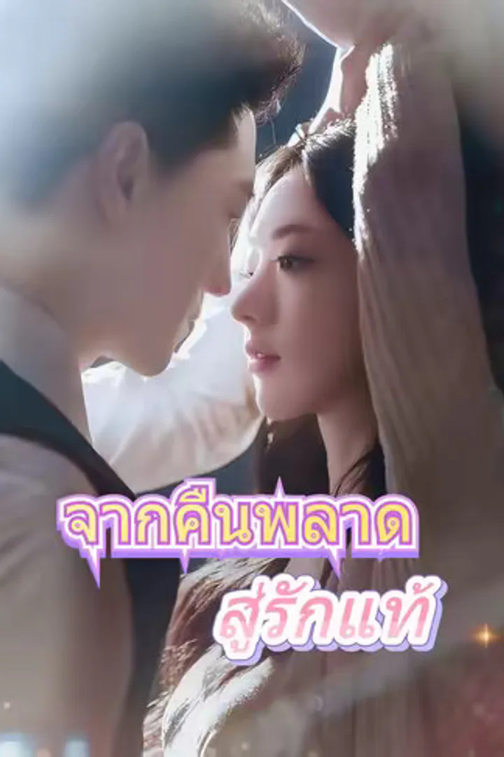 โปสเตอร์ จากคืนพลาดสู่รักแท้