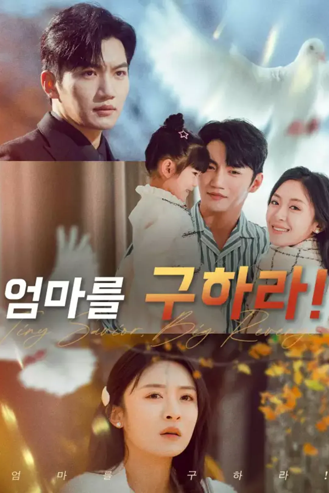 엄마를 구하라! 포스터