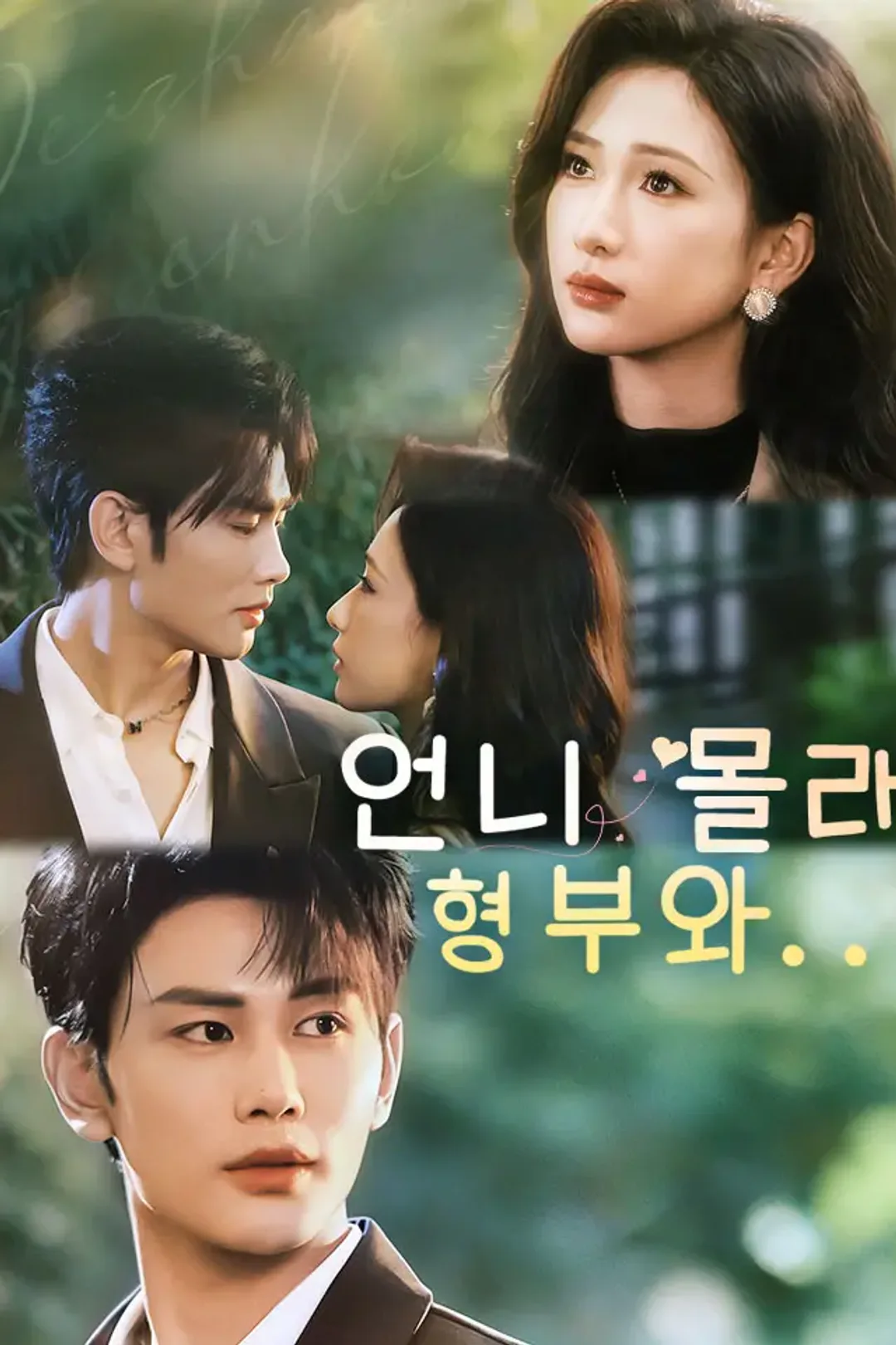 언니 몰래 형부와... 포스터