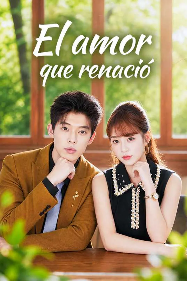 Póster de El amor que renació