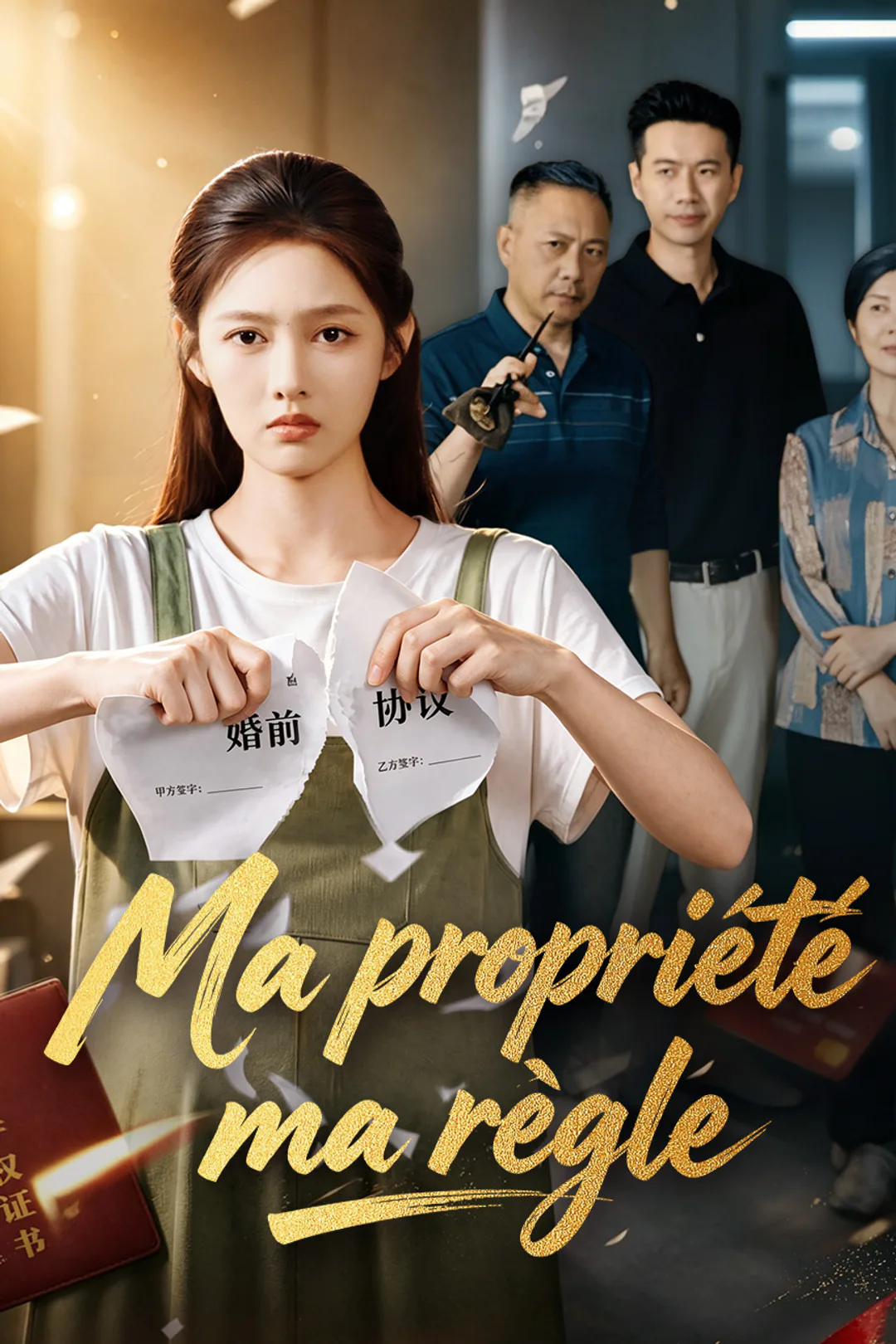 Affiche de Ma propriété, ma règle