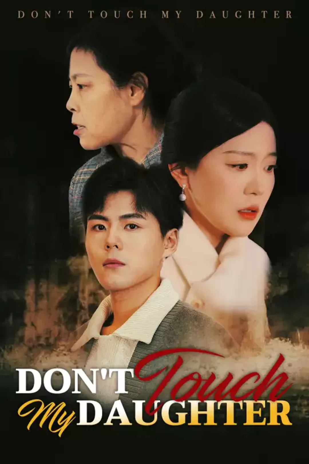 Don't Touch My Daughter poster