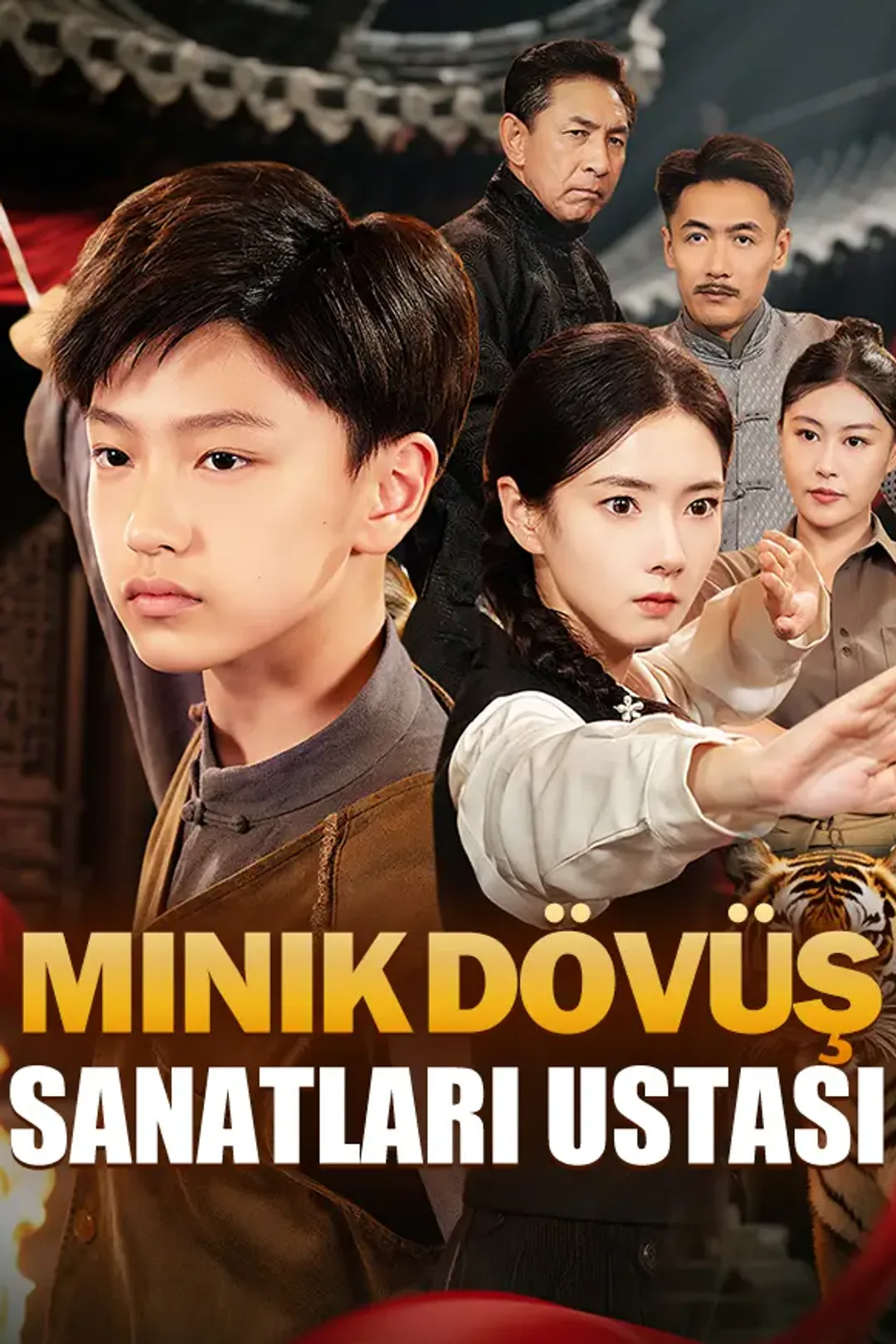 Minik Dövüş Sanatları Ustası afişi