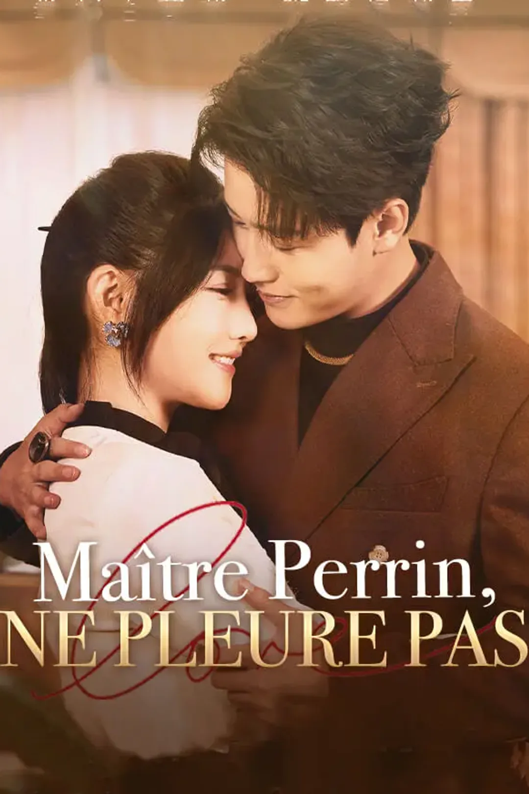 Affiche de Maître Perrin, ne pleure pas