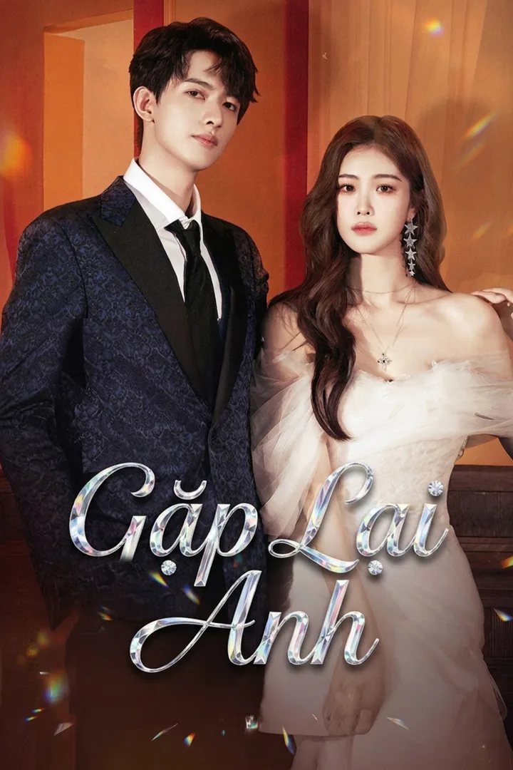 Poster phim Gặp Lại Anh