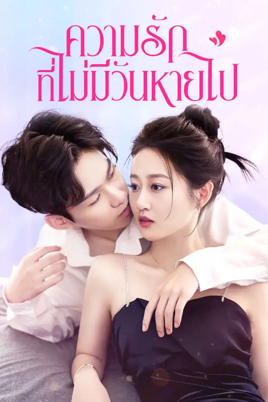 โปสเตอร์ ความรักที่ไม่มีวันหายไป