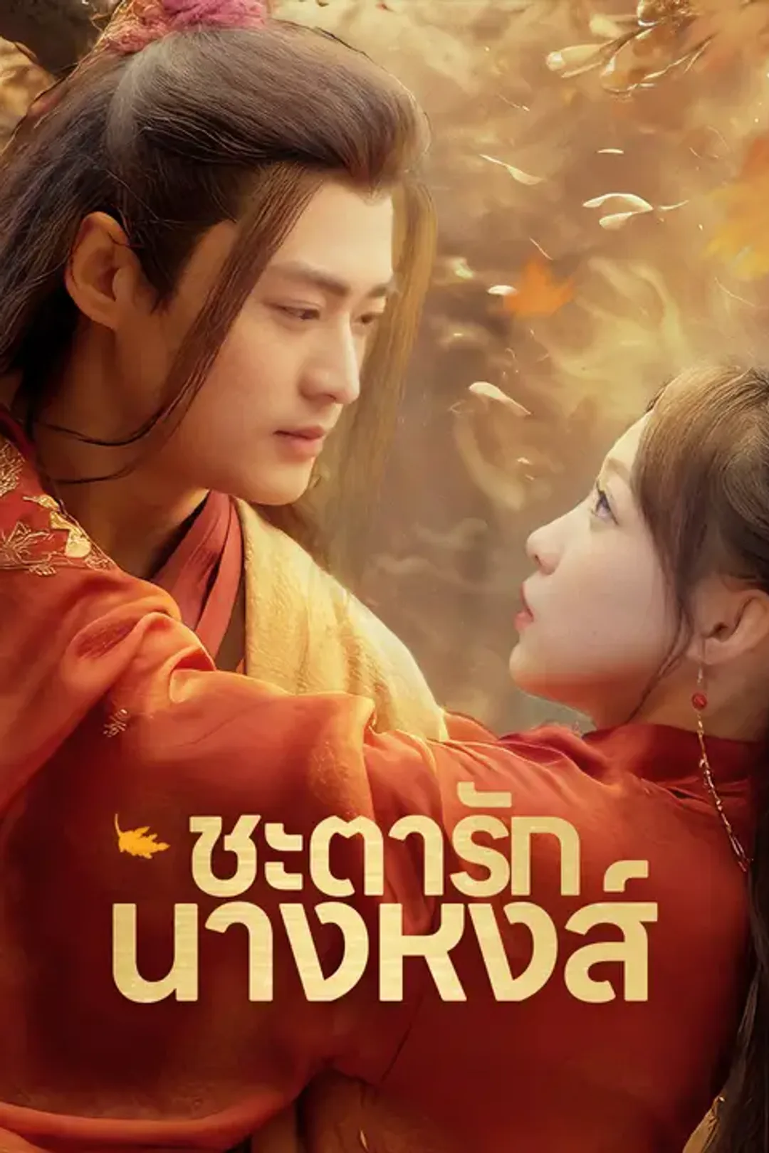 โปสเตอร์ ชะตารักนางหงส์