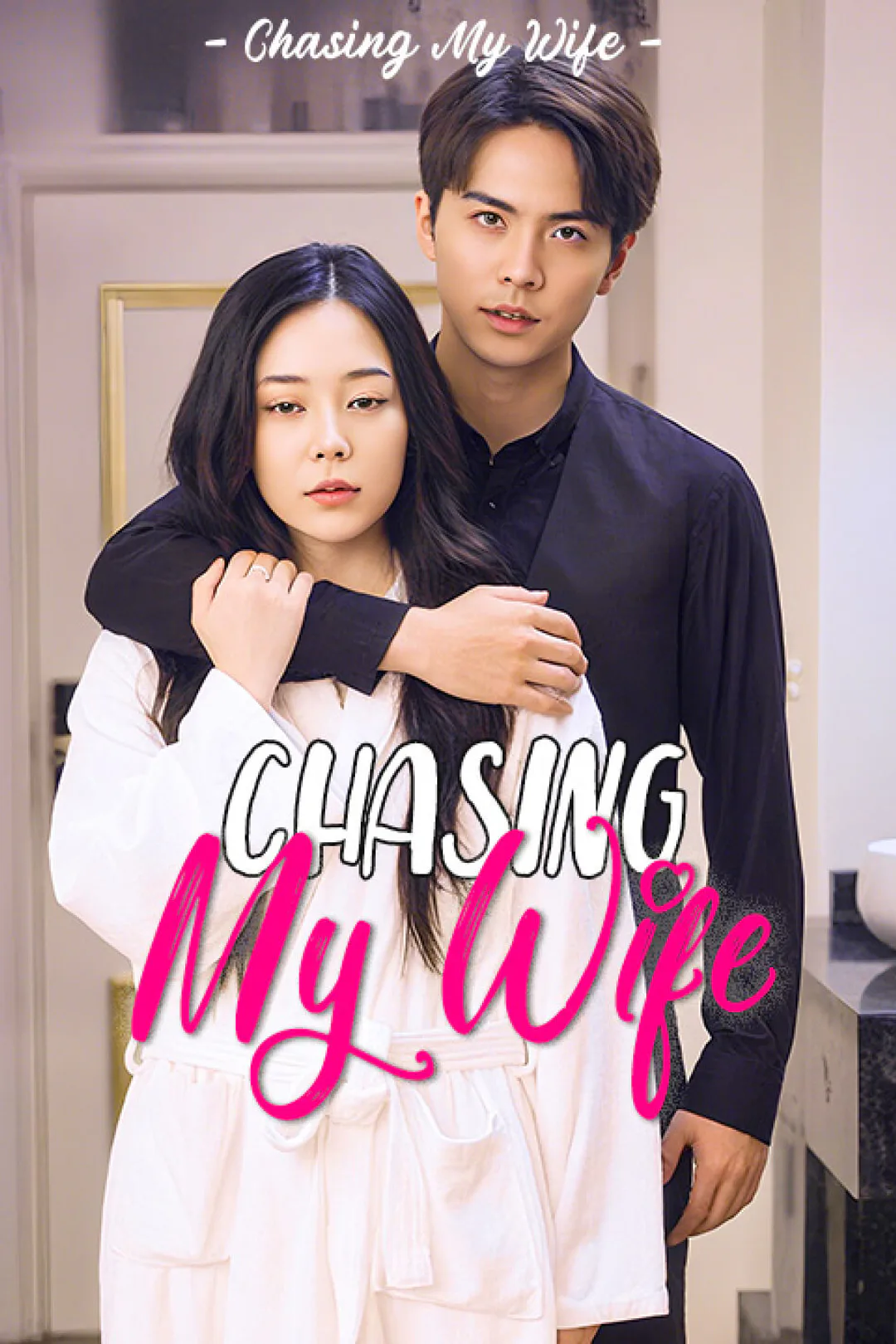 Chasing My Wife poster