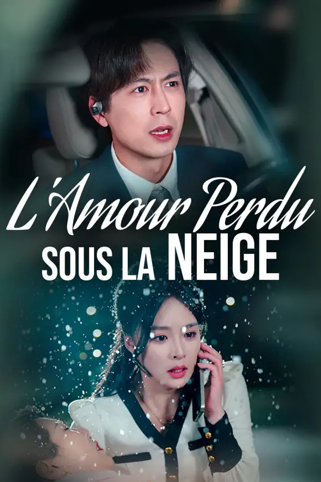 Affiche de L'Amour Perdu sous la Neige