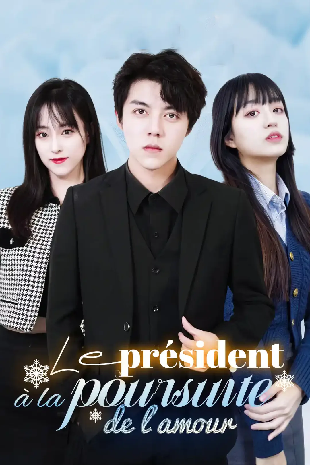 Affiche de Le président à la poursuite de l'amour