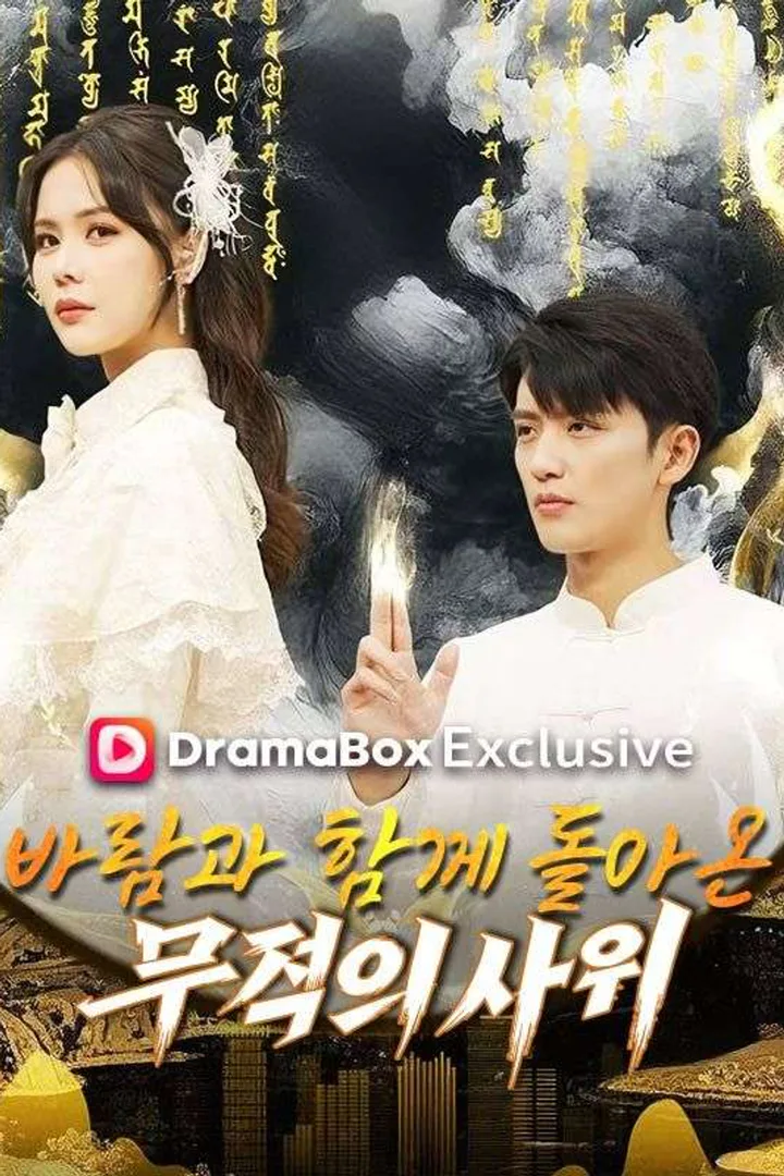 바람과 함께 돌아온 무적의 사위 포스터
