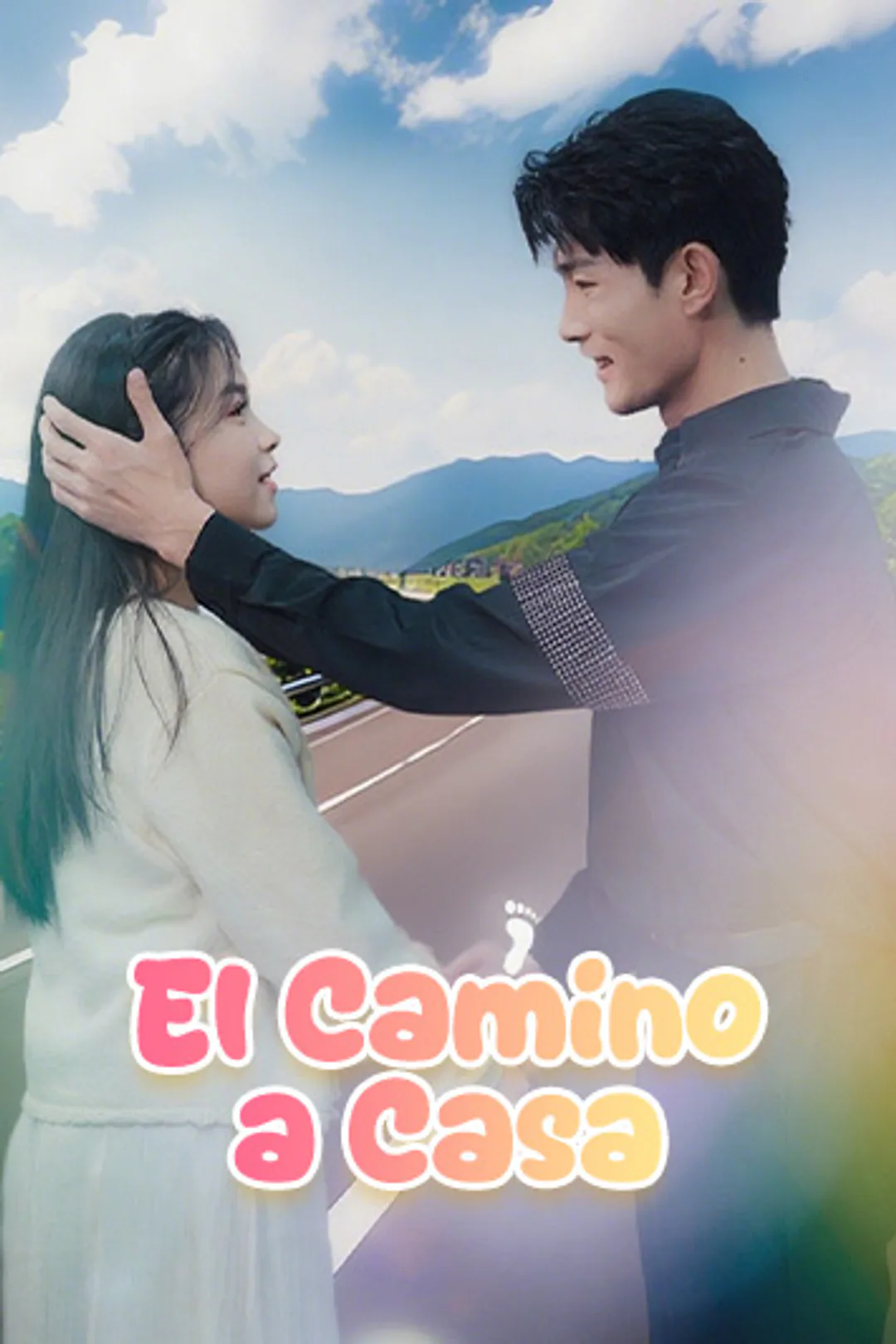 Póster de El Camino a Casa