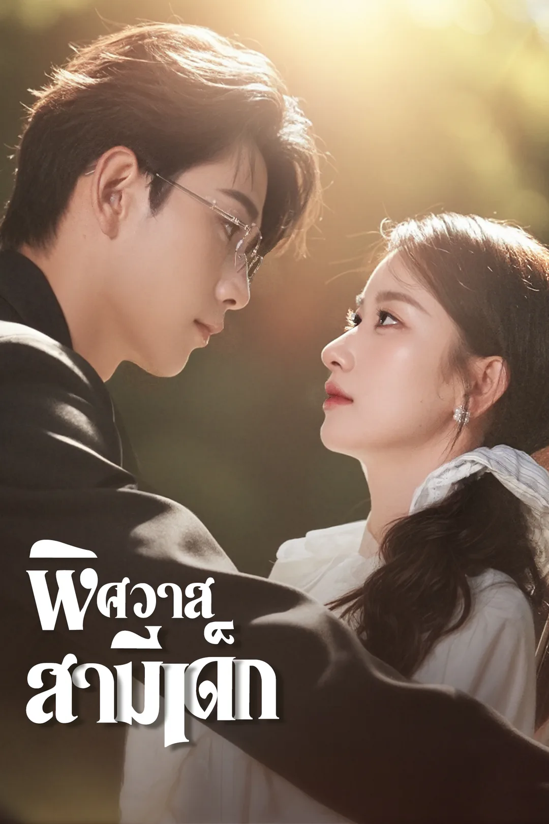 โปสเตอร์ พิศวาสสามีเด็ก