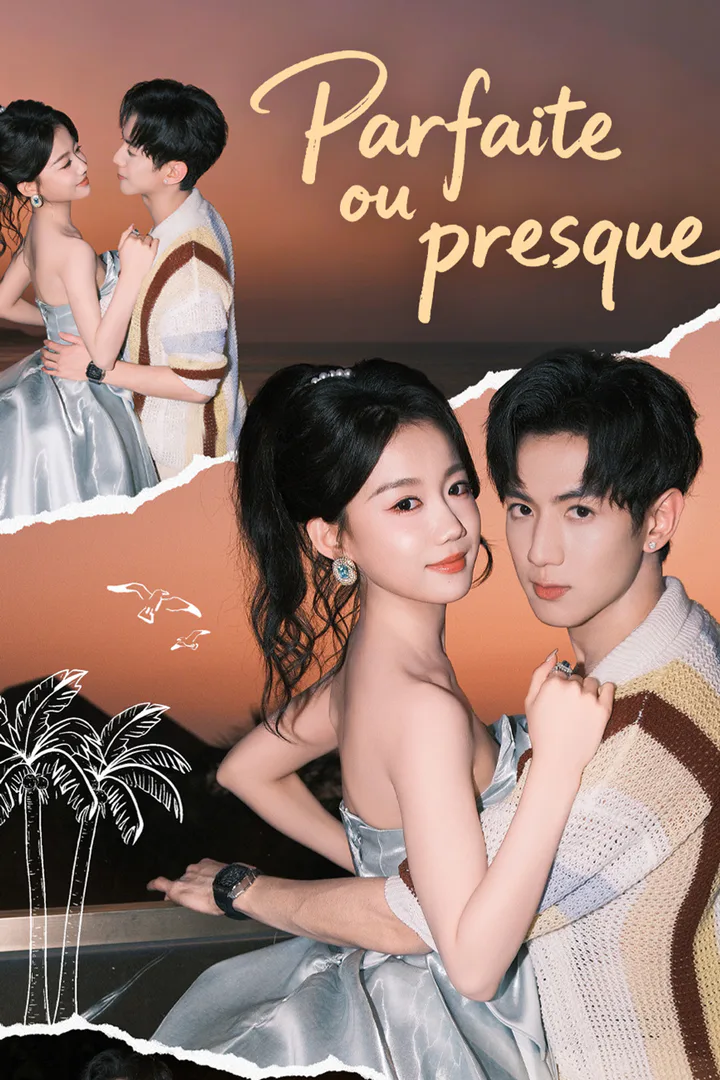 Affiche de Parfaite, ou presque