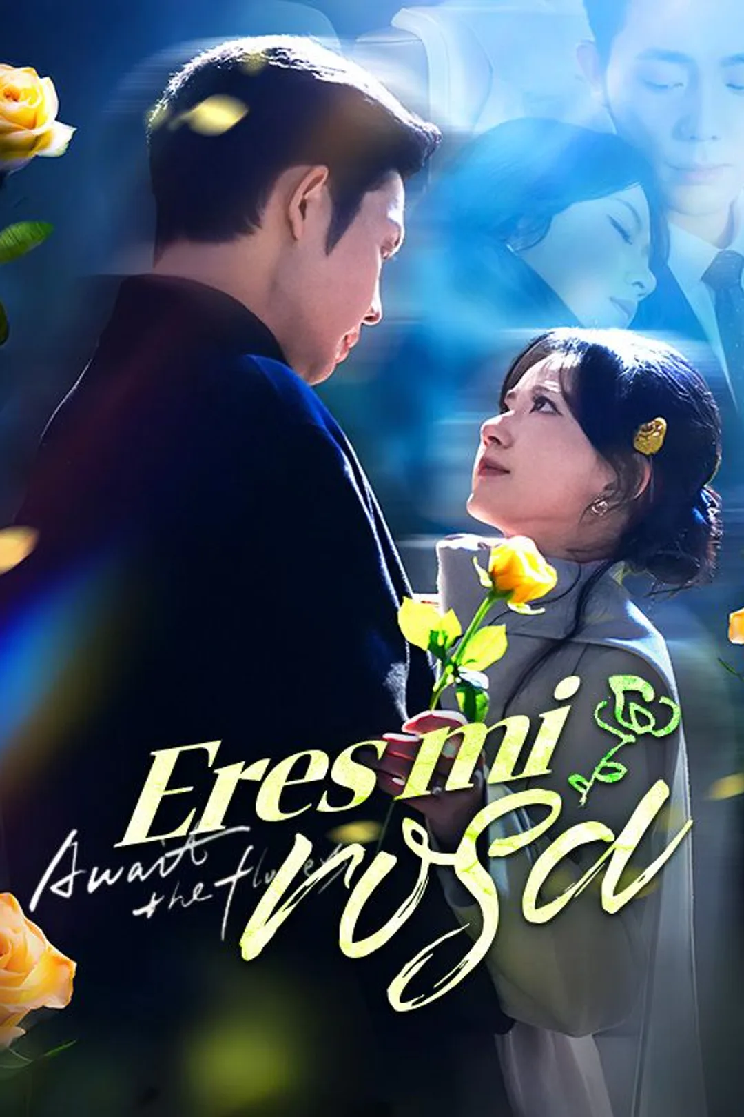 Póster de Eres mi rosa