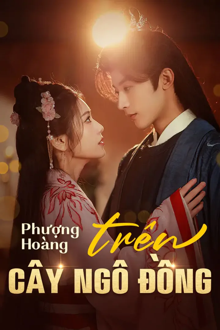 Poster phim Phượng Hoàng trên cây ngô đồng