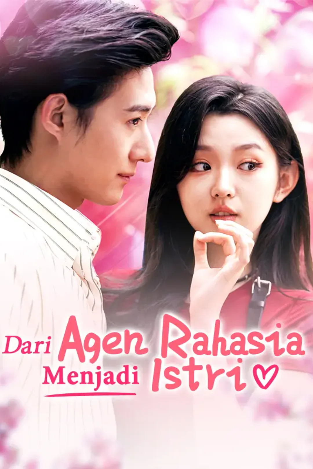 Poster Dari Agen Rahasia Menjadi Istri