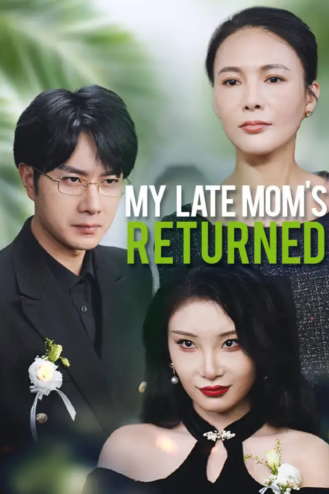 My Late Mom's Returned poster